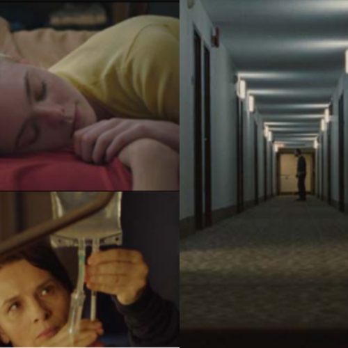 ESTATEQUIETA-q5jbbivda4o4o2na5e2w0d0nqdvdyaorx5zrybaavc