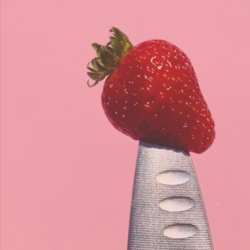 PlatoFuerte-q5jblaf0a61da8gn4m1cwwb1whqnx3gdxhzdfst288