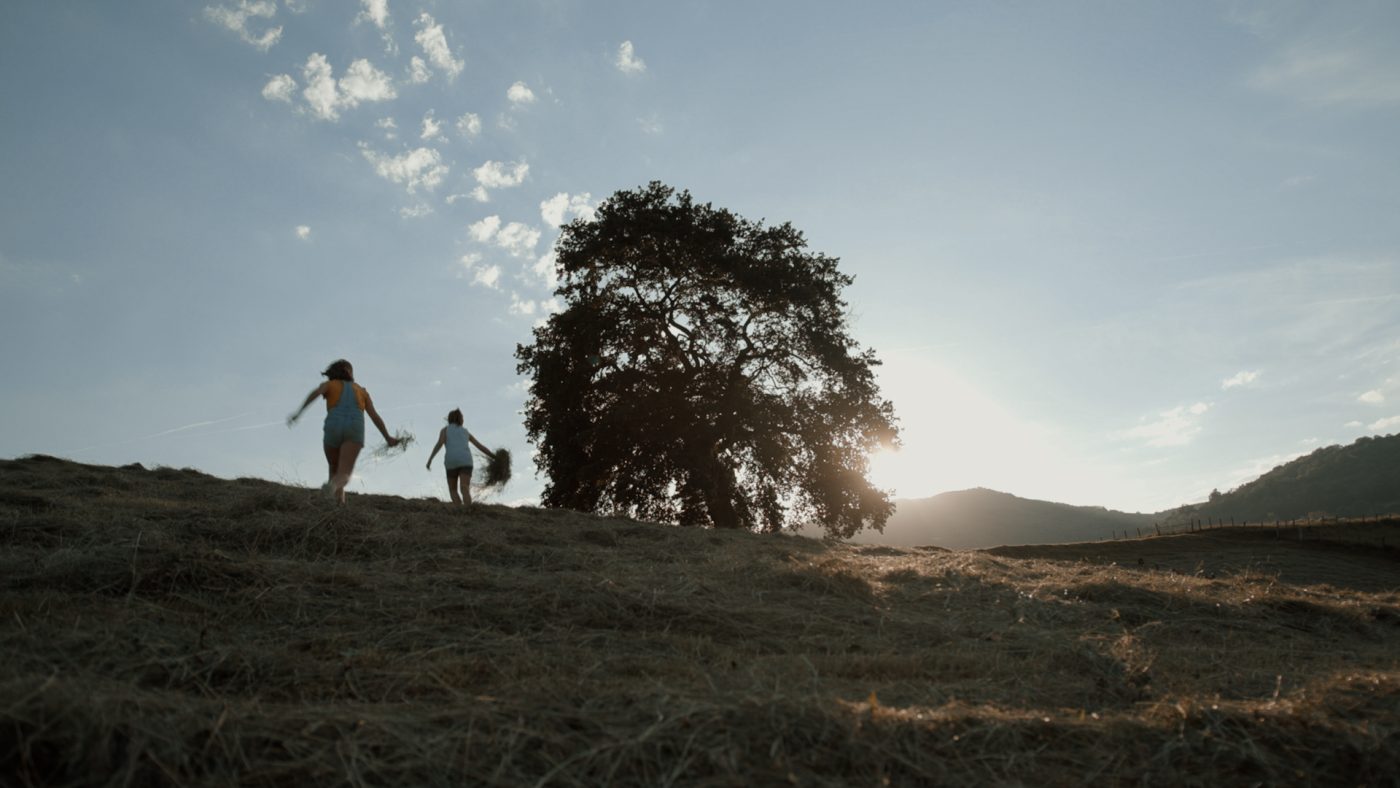 fotograma-Cuando-crece-la-hierba-1